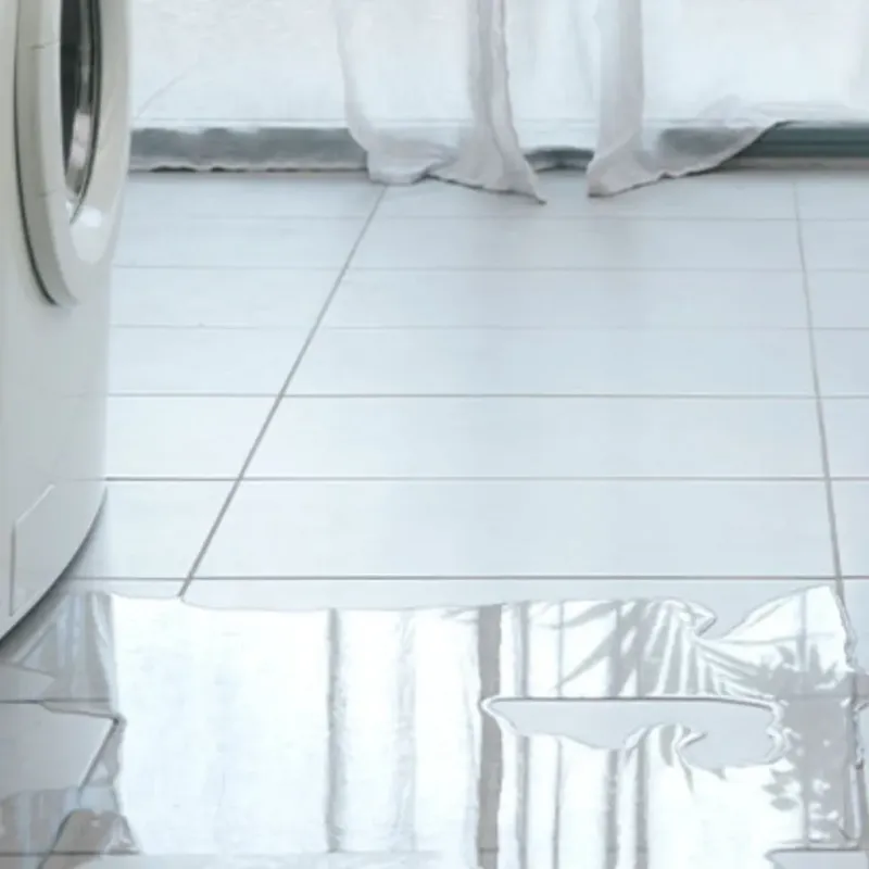 Appliance Leak Cleanup in Albany, WI