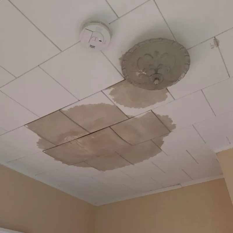 Ceiling Water Damage Repair in Albany, WI