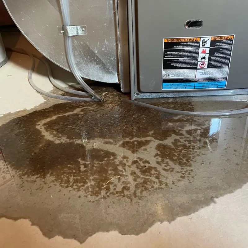 Pipe Burst and Leak Restoration in Albany, WI