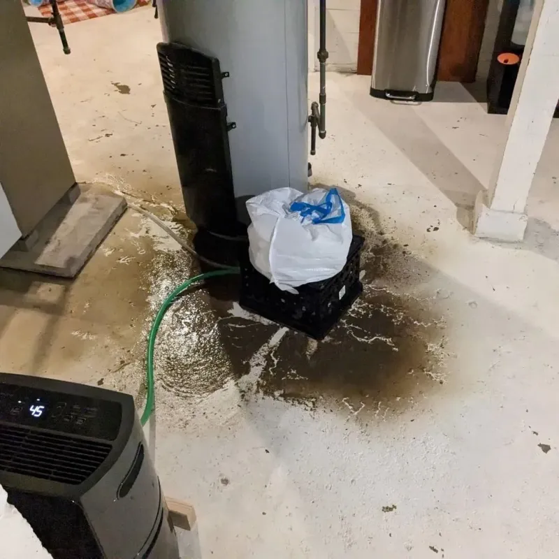 Sewage Backup Cleanup Service in Albany, WI